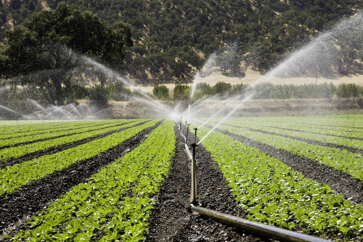 Application in agriculture. Искусственное орошение. Сельское хозяйство полив. Сельское хозяйство орошение. Орошение овощей.